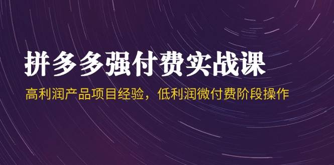 （14874期）拼多多强付费实战课-44期，高利润产品项目经验，低利润微付费阶段操作-讯领网创