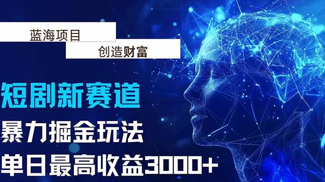 （15438期）抖音新赛道，暴力掘金玩法，单日收益最高3000+-寒山客