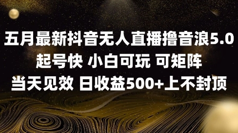 2025五月最新无人直播撸音浪单日产出5张+实操教程【揭秘】-讯领网创