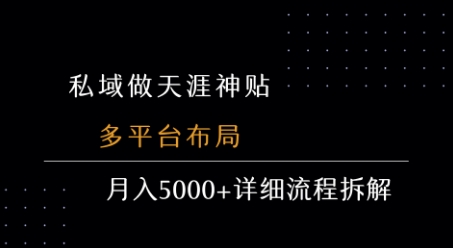 私域做天涯神贴 多平台布局 月入5k+详细流程拆解-讯领网创