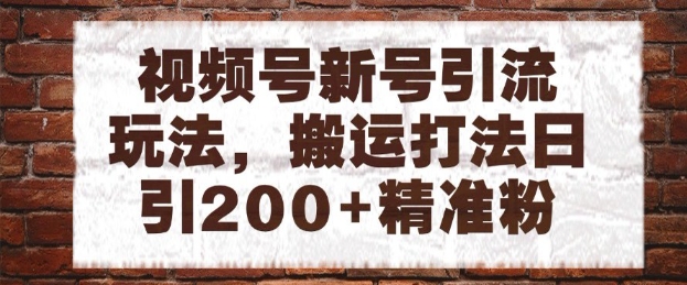 视频号新号引流玩法，搬运打法日引200+精准粉，可矩阵放大【揭秘】-讯领网创