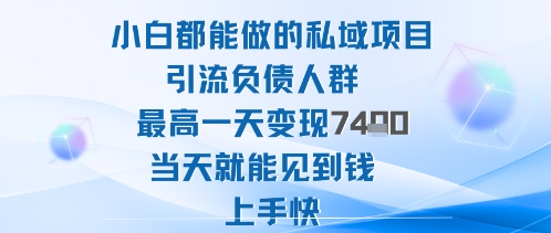 2025年小白都能做的私域项目引流负债人群最高一天变现1k+高变现难度低当天就能见到钱上手快-讯领网创