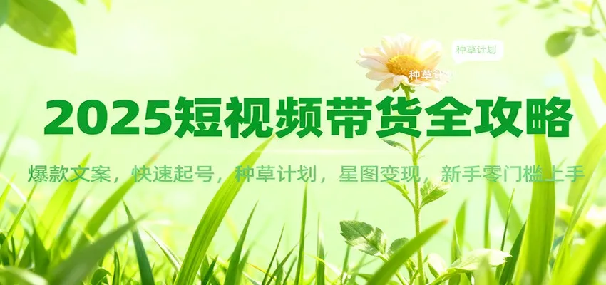 2025短视频带货全攻略：爆款文案，快速起号，种草计划，星图变现，新手零门槛上手-五四资源网