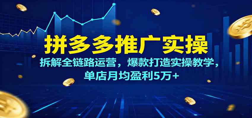 拼多多推广实操，拆解全链路运营，爆款打造实操教学，单店月均盈利5万+-讯领网创