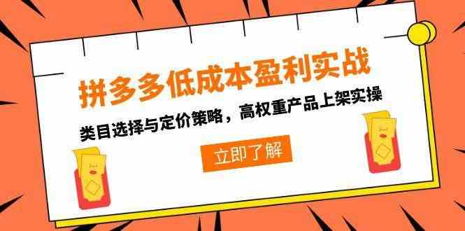 拼多多低成本盈利实战，类目选择与定价策略，高权重产品上架实操-讯领网创