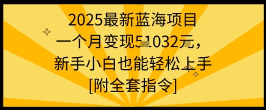 2025最新蓝海项目一个月变现1w+新手小白也能轻松上手【附全套指令】-讯领网创