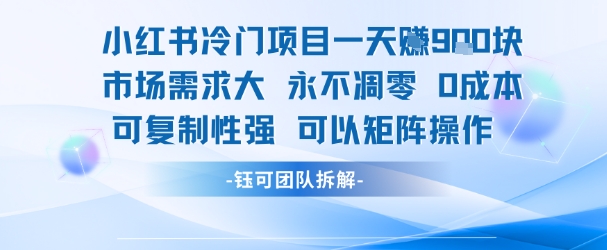 小红书冷门项目一天收益9张，市场需求大，0成本，可复制性强可以矩阵操作-讯领网创